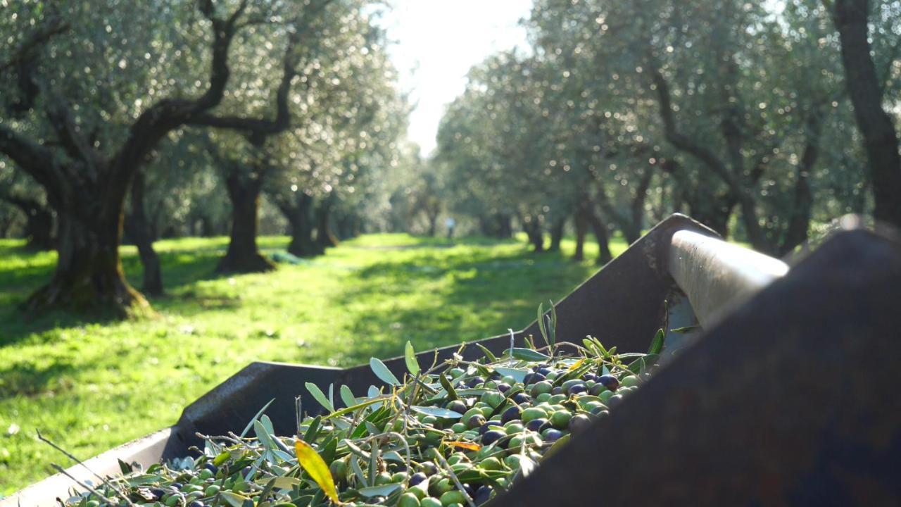 Agriturismo I Due Casali