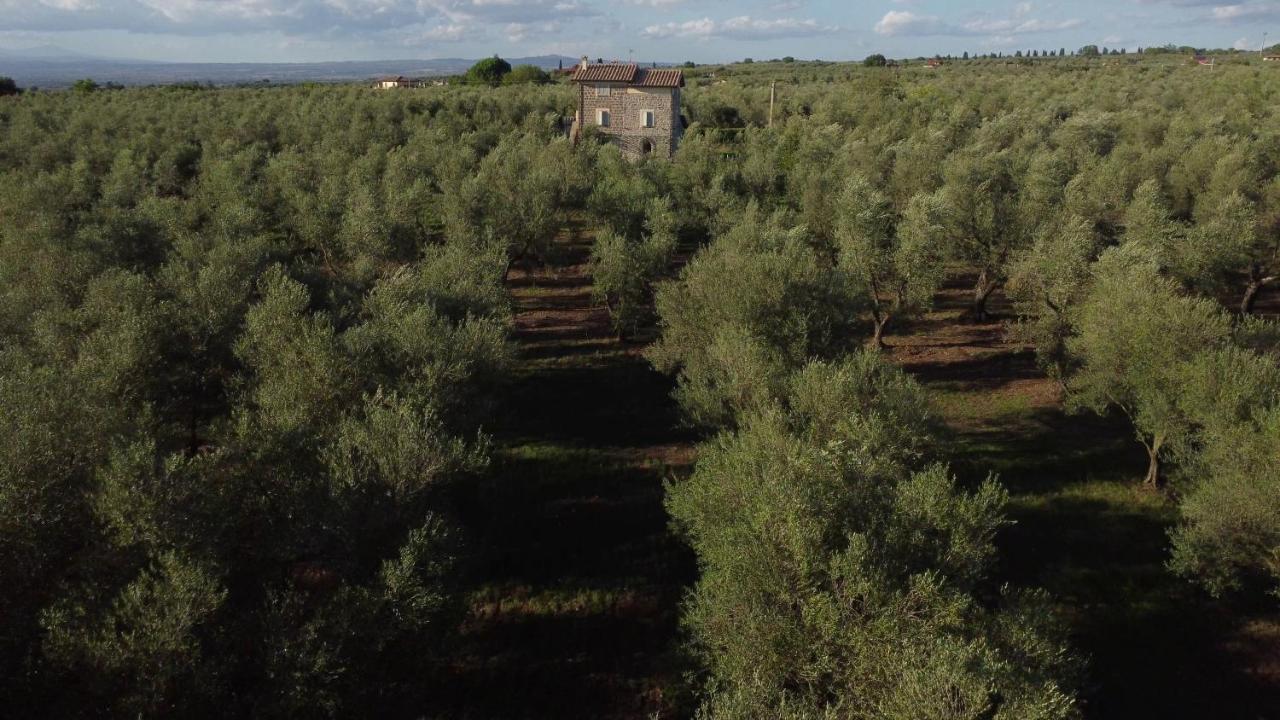 Agriturismo I Due Casali * Vetralla