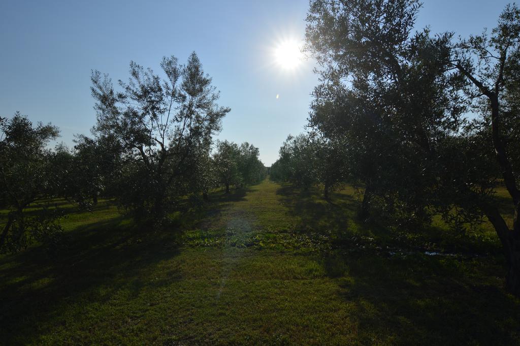 Bauernhof Agriturismo I Due Casali *